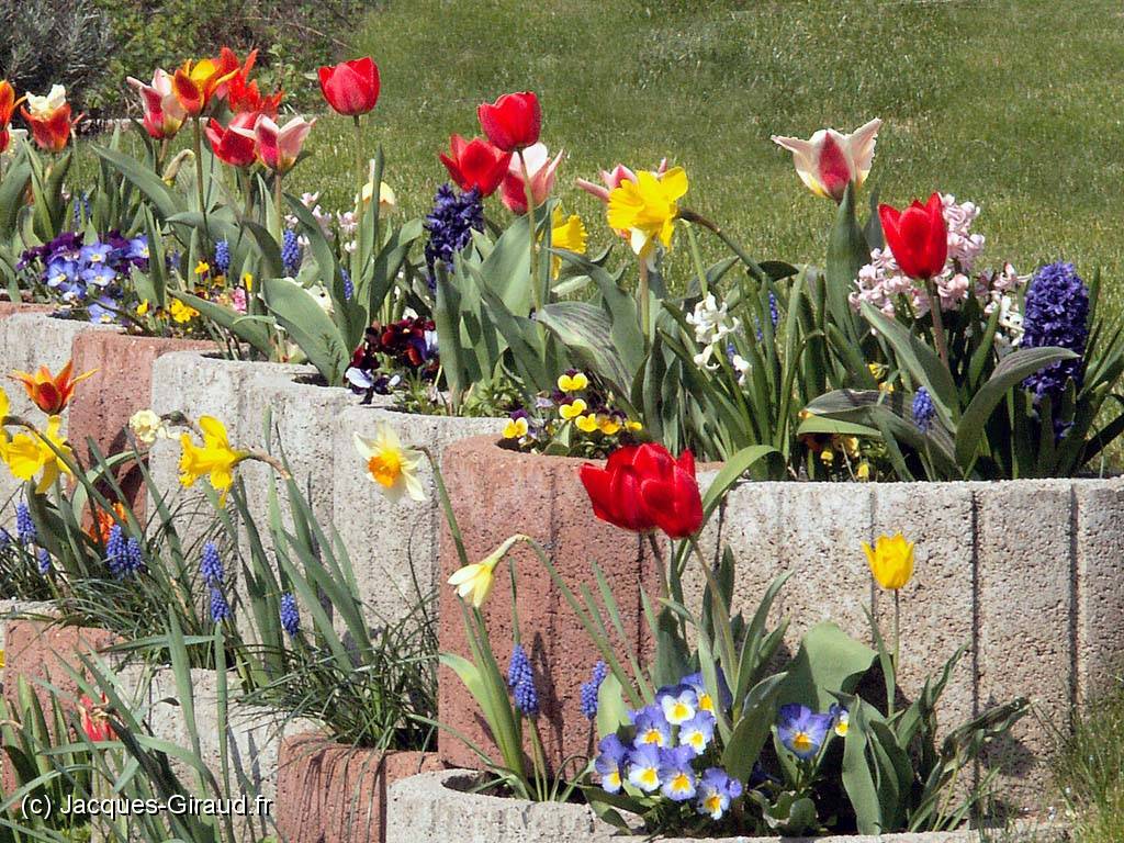 2005-04-13 14-51-21 Nature 200,0mm 1_200_eme F11,0 0074(1024).jpg